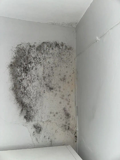 Duct cleaning Melbourne