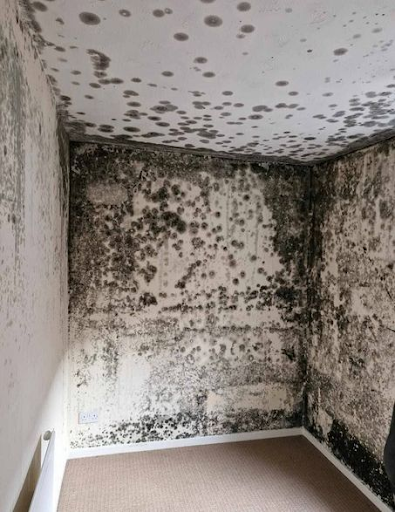 Why choose Aptive duct cleaning Melbourne